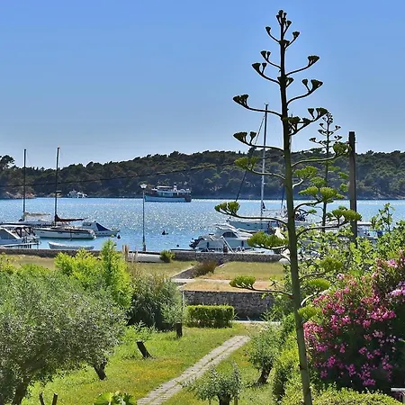 Sandra Rab Town