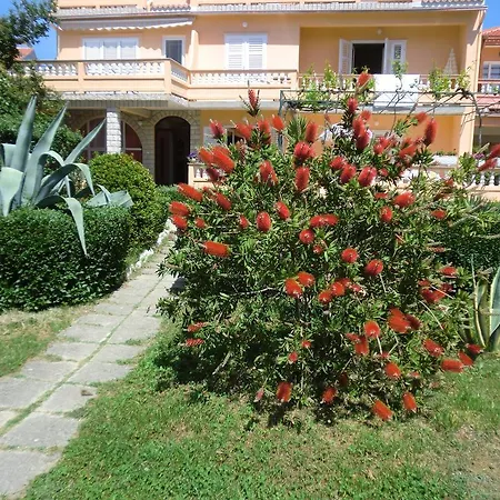 Sandra Πανσιόν