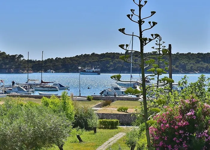 Sandra Rab Town